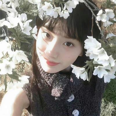 青雀成凰